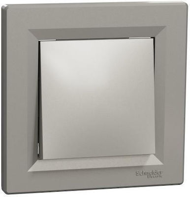 Schneider Electric Asfora Recessed Electrical Lighting Wall Switch no Frame Basic Bronze EPH0100169