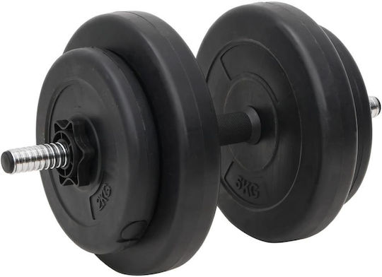 vidaXL Αλτήρες Σετ με Μπάρα Συνολικού Βάρους 60kg