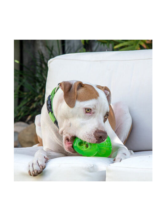 Rogz Yumz Dog Toy Παιχνίδι Κόκκαλο Σκύλου από Καουτσούκ Large 15εκ. Κόκκινο 1τμχ