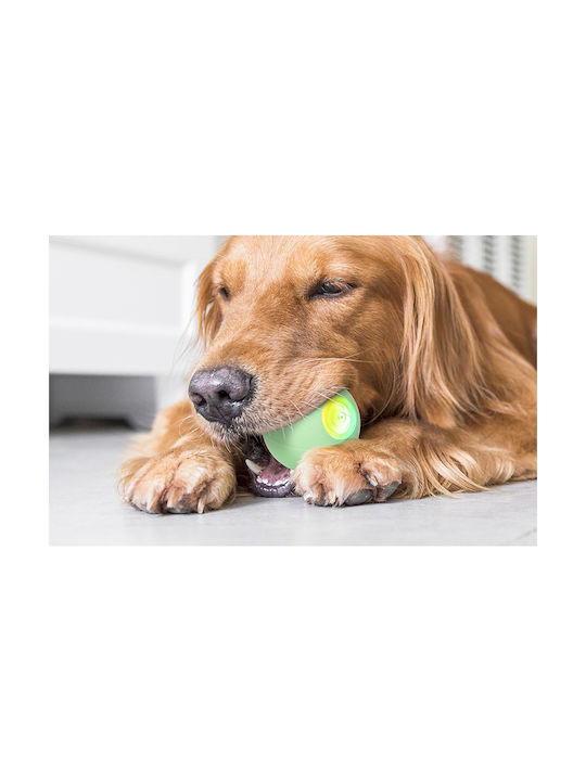 Cheerble PE Interactive Ballspielzeug Hund Grün 1Stück