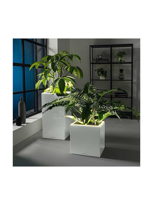 Lechuza Premium Canto Led Самополивен Саксия Пластмаса 40x40x76см.