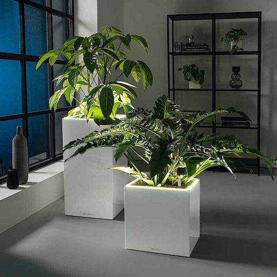 Lechuza Premium Canto Led Самополивен Саксия Пластмаса 40x40x76см.