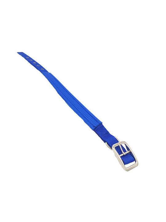 Agroforce Κολάρο σε Μπλε χρώμα 4mm x 68cm