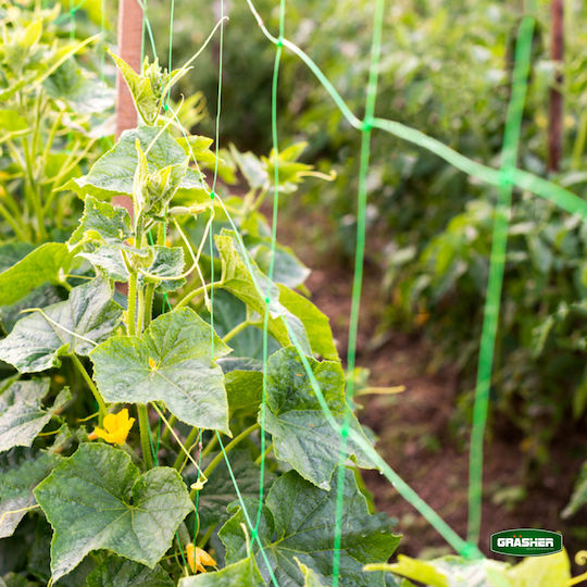 Grasher Climbing Plant Net 200cmx10m from Plastic