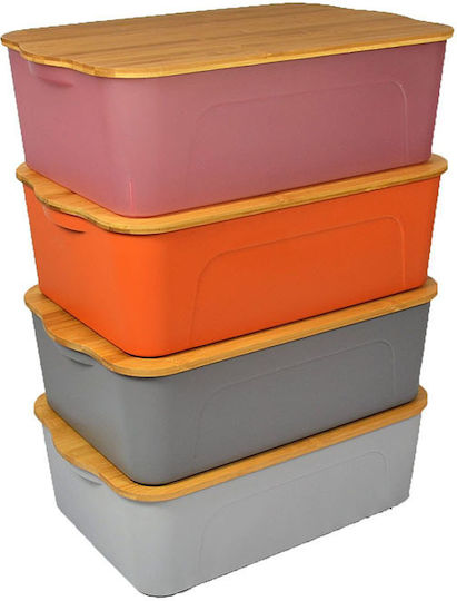 Sidirela Plastic Storage Box with Lid Rotten Apple 29x20x14cm 1pcs