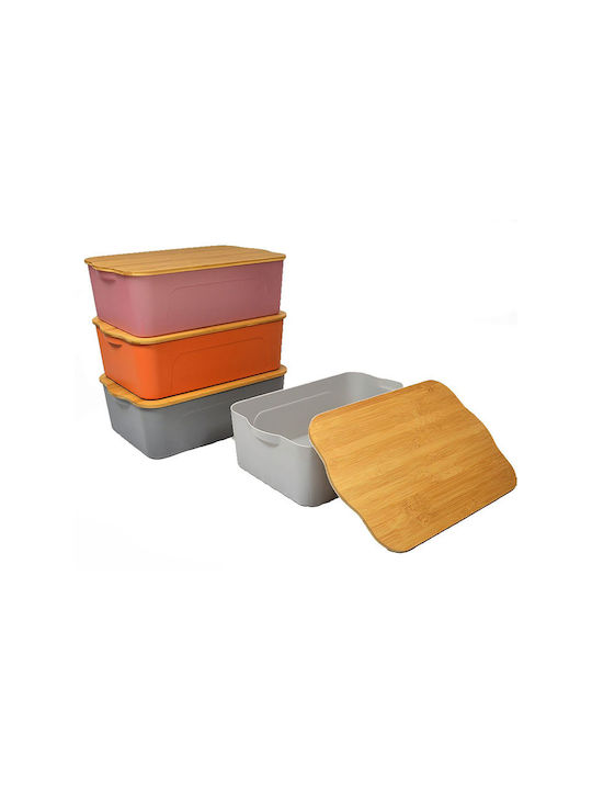 Sidirela Plastic Storage Box with Lid Rotten Apple 29x20x14cm 1pcs