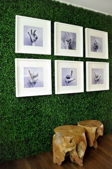Newplan Изкуствена панелна листва A146 Boxwood 50x50см