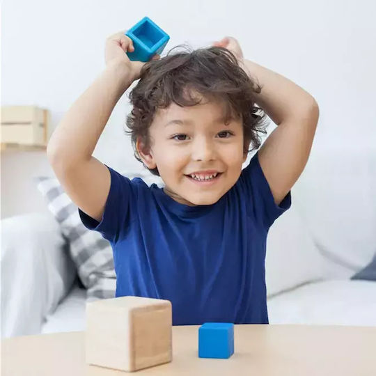 Plan Toys Κύβοι σε Φωλίτσα από Ξύλο για 1+ Έτους 3τμχ