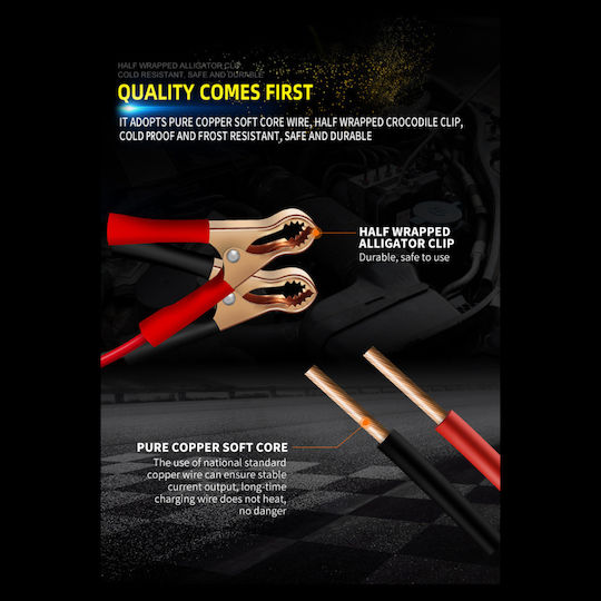 Factory Зарядно за автомобилна батерия 6/12V