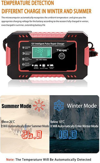 Factory Car Battery Charger 6/12V