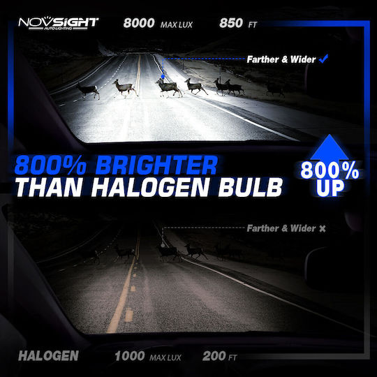 NovSight Lampen Auto H4 Canbus LED 6500K Kaltes Weiß 24V 120W 2Stück