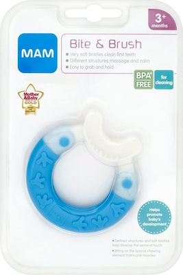 Mam Bite & Brush Beißring für Zahnen aus Plastik für 3 m+ Blau 1Stück