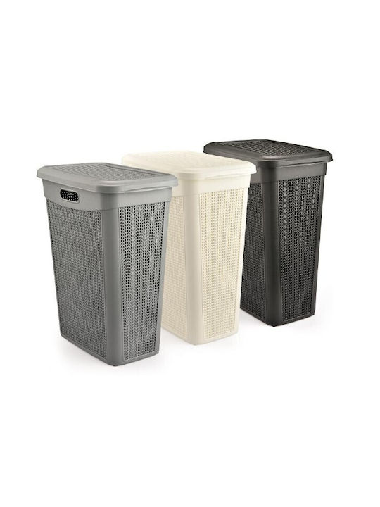 Viosarp Laundry Basket Plastic with Cap 46x29x55cm Gray