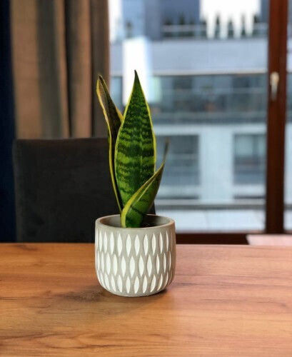 Polnix Etno Magna Plant Pot Concrete Multicolour
