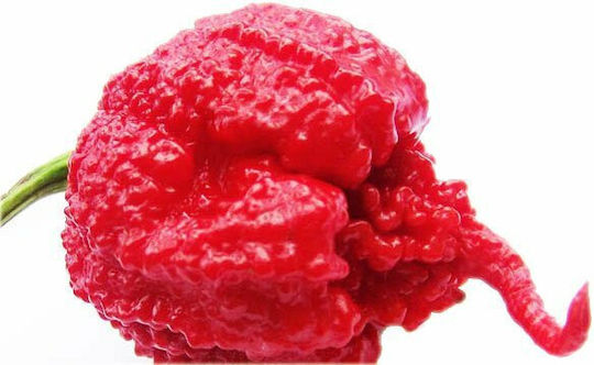 Πιπέρι Carolina Reaper 10gr