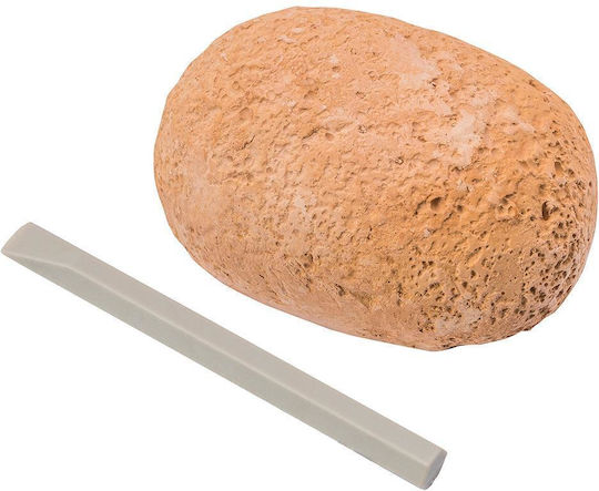 AS Dinosaur Egg Educational Game Dinosaur Excavation for 6+ years old Years Old
