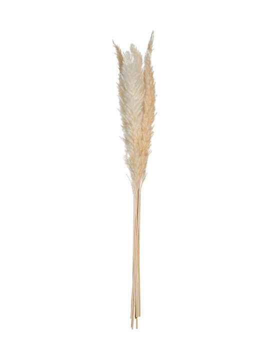 Atmosphera Ramură Decorativă Artificială Pampas Grass 66cm 6buc