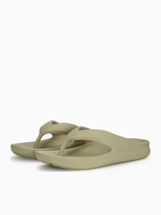 PUMA Flip Flops Birch Tree