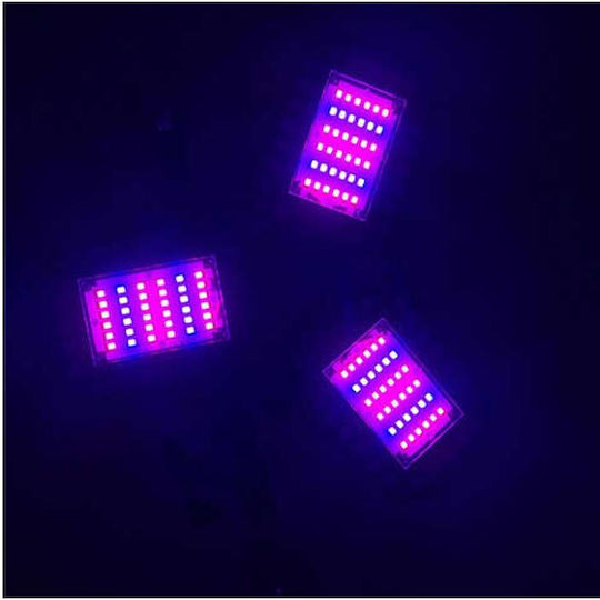 Pendant Grow Light with LED and Power 8W L23xW23xH9.5cm.