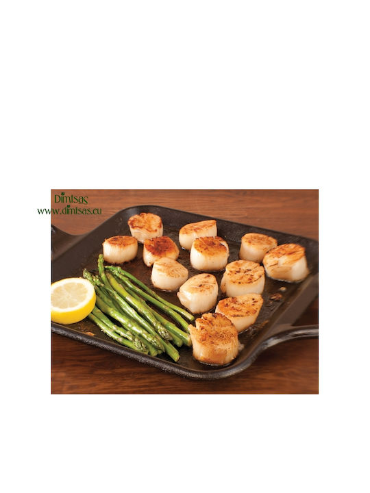 Lodge Pan made of Cast Iron 30.5cm