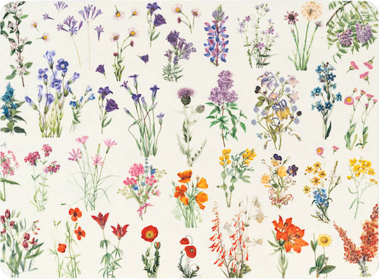 Grupo Erik Botanical Wild Flowers Platzdeckchen Kork Mehrfarbig 4Stück