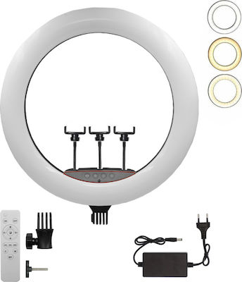 Rolinger RL-1006 Ringlicht 45cm mit Halterung für Mobiltelefon