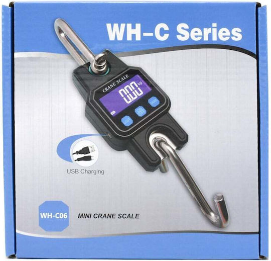 Liyset Electronic Professional Hanging Scale with Weighing Capacity of 300kg and Division 50gr