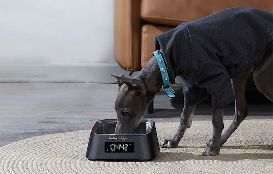 Pawbby Smart Pet Ανοξείδωτο Μπολ Φαγητού για Σκύλο & Γάτα σε Μαύρο Χρώμα
