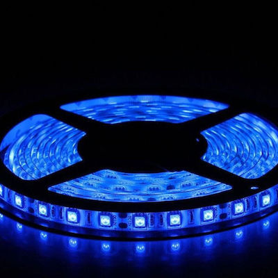 Aca Wasserdicht LED Streifen Versorgung 12V mit Blau Licht Länge 5m