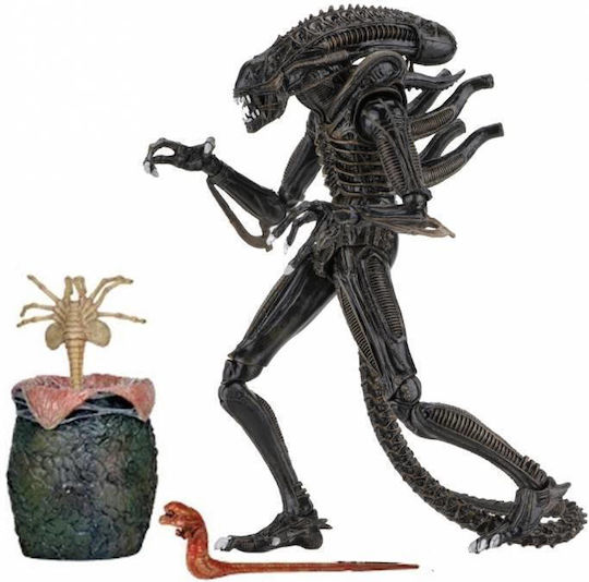 Neca Alien Alien Warrior & Egg Face Hugger 1986 Action Figure Height 23cm Scale 1:10