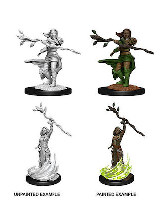 WizKids Dungeons & Dragons Nolzur's Marvelous Miniatures Human Female Druid 2τμχ