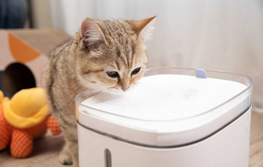 Pawbby Αυτόματο Συντριβάνι Νερού από Προπυλένιο για Σκύλο & Γάτα 2lt