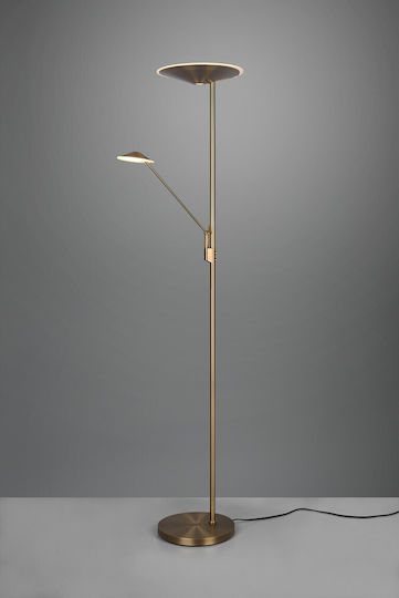 Trio Lighting 4256102 Trio Lighting 4256102
