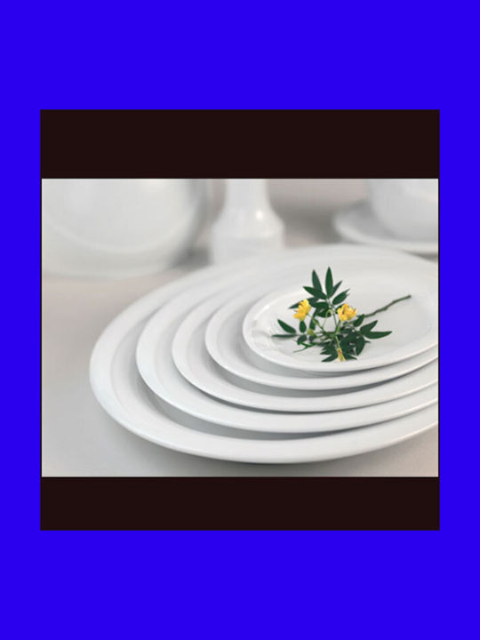 Güral Porselen X Tanbul Porcelain Shallow Plate White 27cm 6pcs
