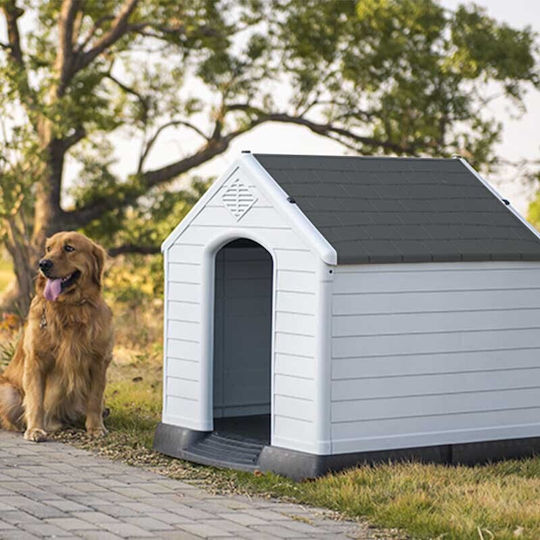 Vesta XXLarge Hundehaus Groß Kunststoff Außenbereich Weiß 123x110x114cm