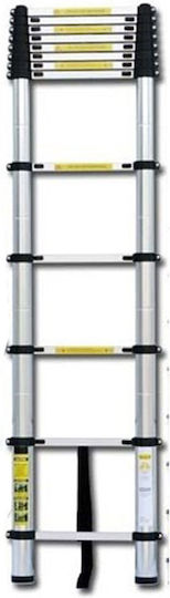Vesta Telescopic Ladder Aluminum 13 of Steps with Maximum Height 3.8m