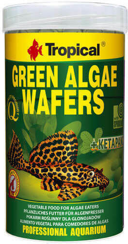 Tropical Green Algae Wafers Τροφή για Τροπικά Ψάρια σε Ταμπλέτες με Σπιρουλίνα 100ml