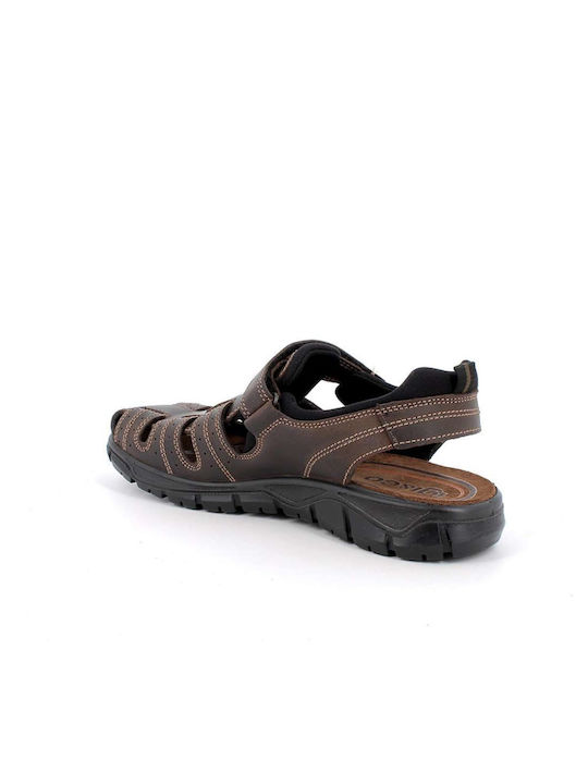 IGI&CO - Herrensandalen aus Leder 3641211 - Dunkelbraun