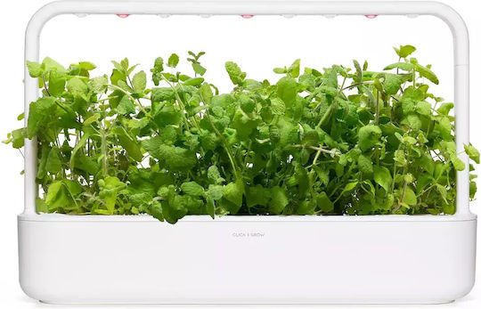 Click and Grow Σπόροι Μέντας 3τμχ