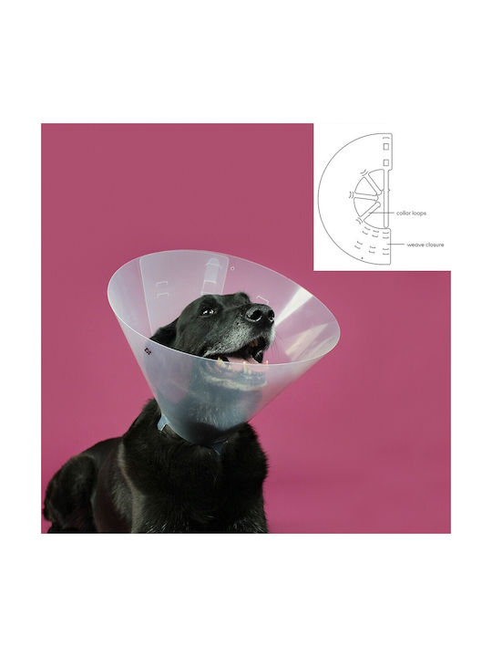 KVP Betsy Dog Collar Cone Collars In Transparent Colour 63 - 78cm