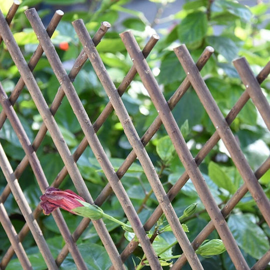 Trellis Pliabil De Grădină Din Lemn Cu Design În Grilă Rombul Maro 180x90cm