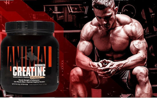 Animal Micronized Creatine Unflavoured 500gr