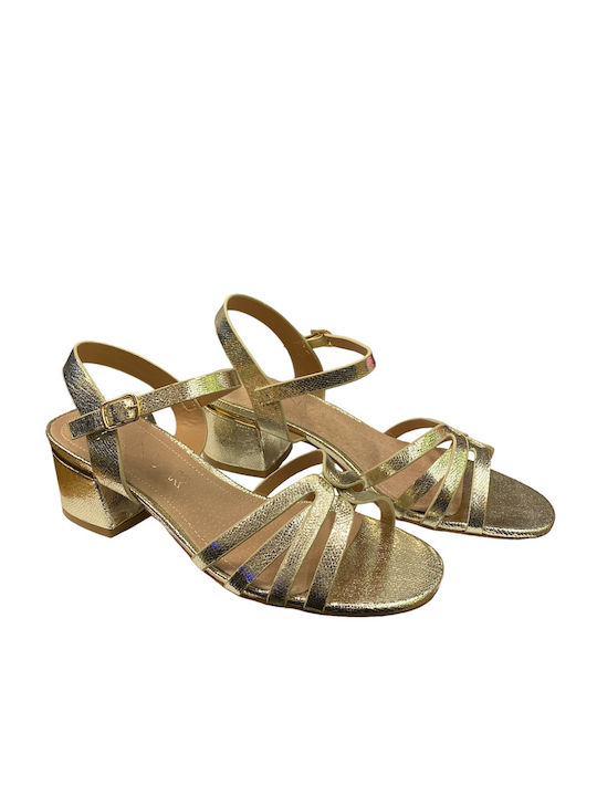 Envie Shoes Envie Shoes