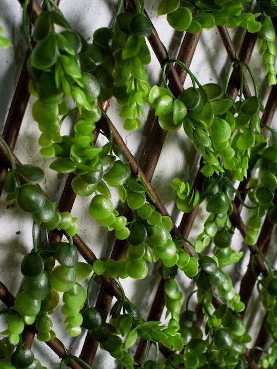 Supergreens Συνθετική Φυλλωσιά σε Καφασωτό Πυξάρι 2x1m