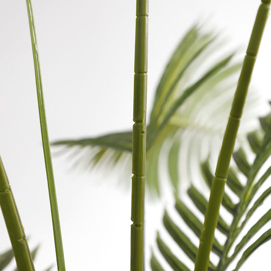 Outdoor Palm Tree Newplan