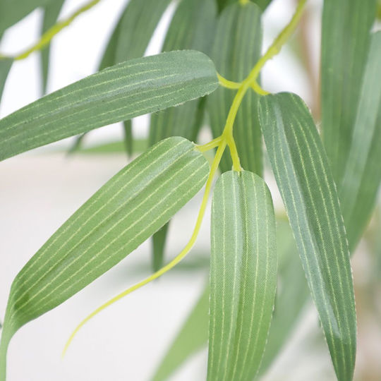 Bamboo Outdoor Tree Newplan