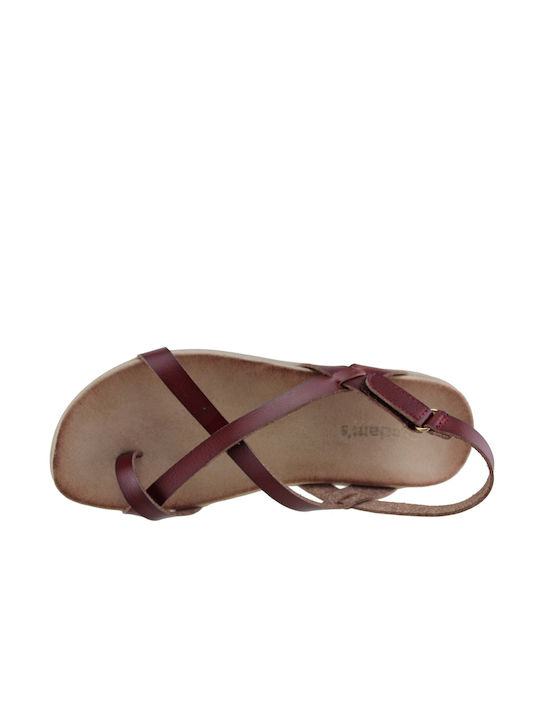 Adam's Shoes Women's Flat Sandals in Brown Color