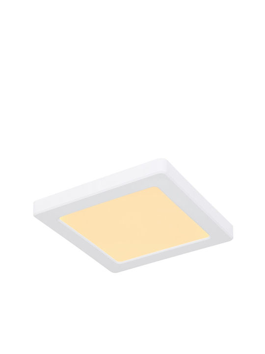 Globo Lighting Square Outdoor LED Panel 12W with Cool White Light 6500K