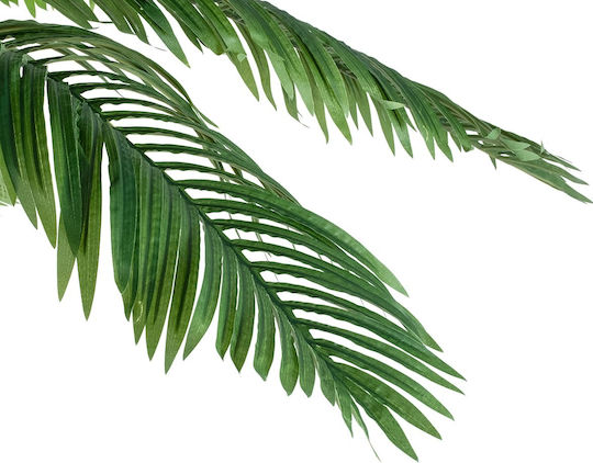 Outdoor Palm Tree 250cm GloboStar