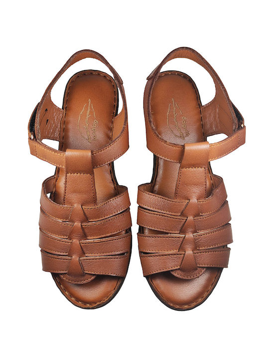 Leather Anatomic Sandals Dafni 707 Brown